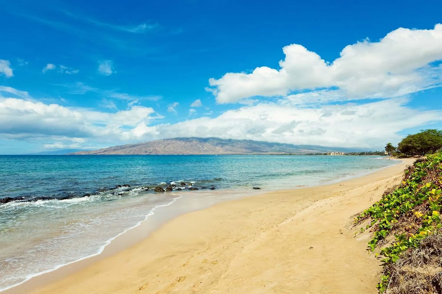 Oceanview Condo - Lanai Ac Steps To Beach & Pool Kihei