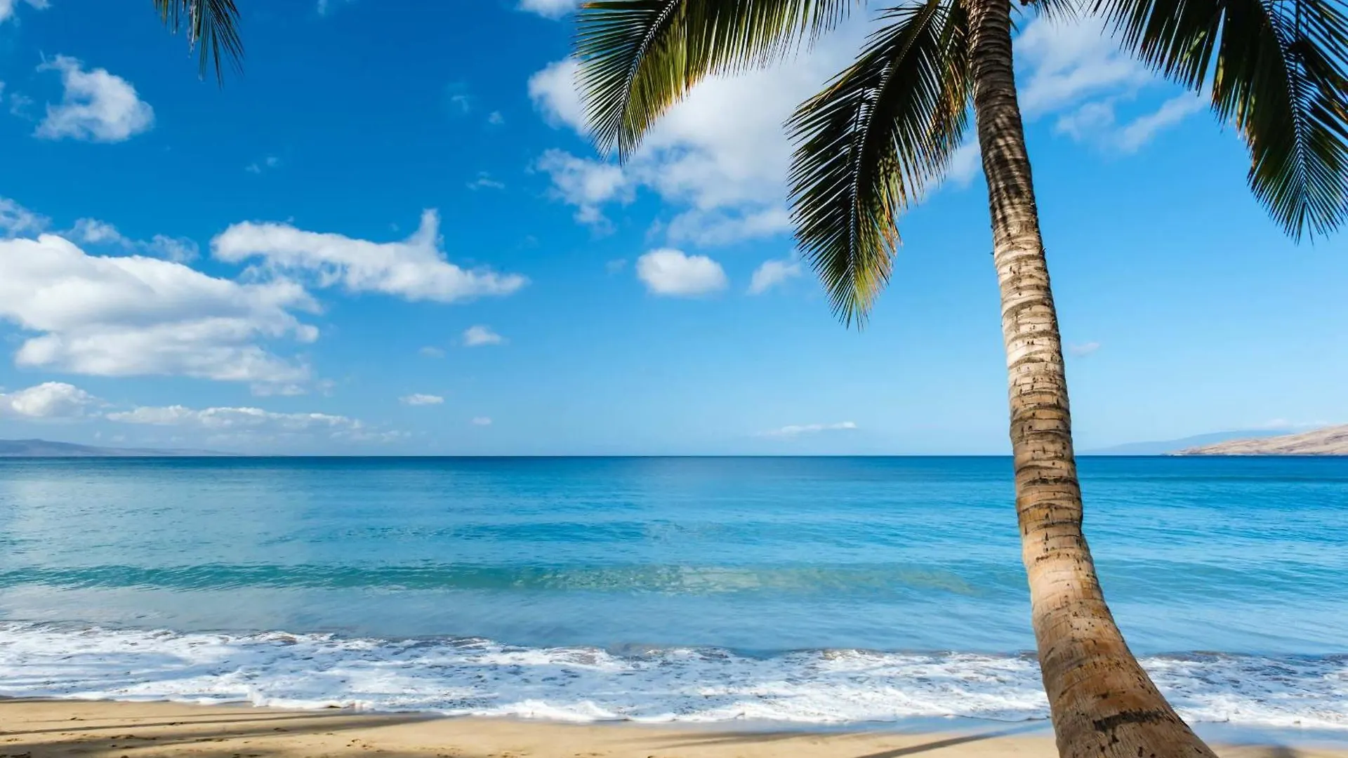 Oceanview Condo - Lanai Ac Steps To Beach & Pool Kihei