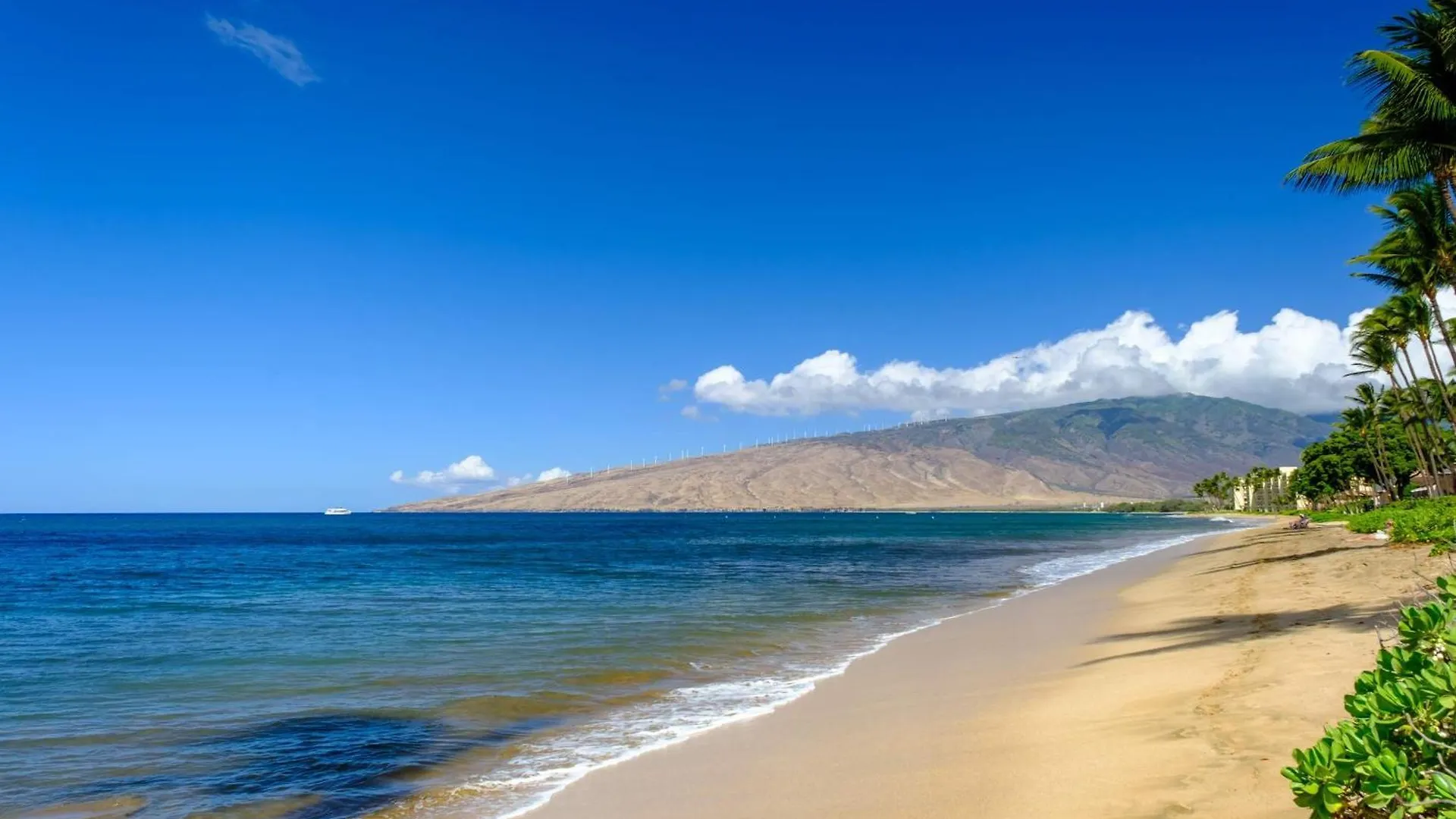 Casa vacanze Oceanview Condo - Lanai Ac Steps To Beach & Pool Kihei