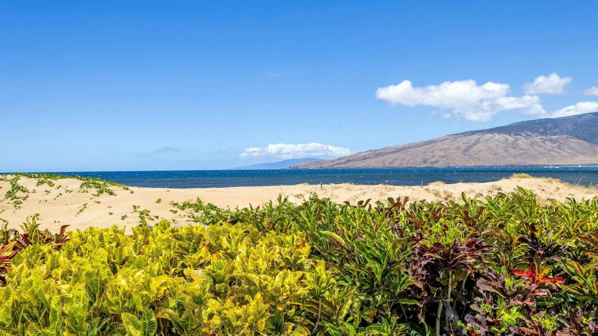 Oceanview Condo - Lanai Ac Steps To Beach & Pool Kihei 0*,  Stati Uniti